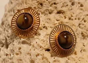 Gold Tone Vertical Bar Sunburst Pattern Stud Earrings w/Brown Round Stone Center - Picture 1 of 5
