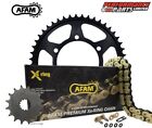 Daelim 100 Altino 1996 AFAM 428 XMR Gold X-Ring Chain and Sprocket Kit