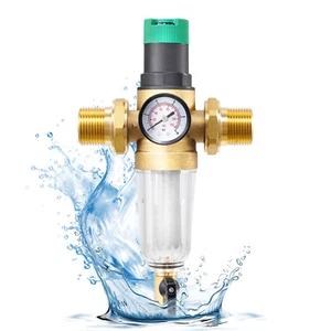 Rückspülfilter mit Druckminderer Wasserfilter Hauswasserstation 1'' Vorfilter - Bild 1 von 11