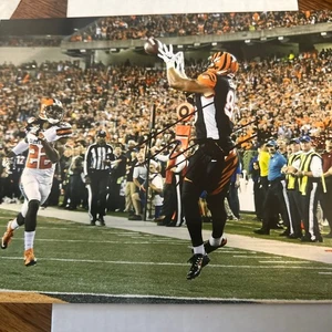 Foto firmata Tyler Eifert 8x10 Cincinnati Bengals Auto Notre Dame autografo - Foto 1 di 3