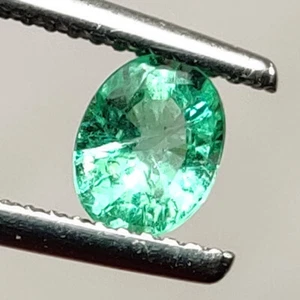 0.73 CT - Natural Zambian Emerald Fine Luster Green Gem Oval Shape - 2943 - Picture 1 of 2
