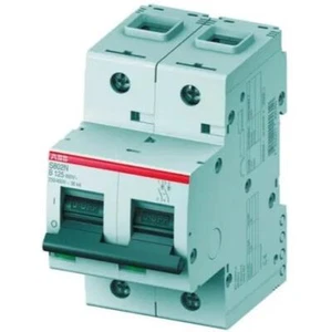 1x 2CCG001242R0001 S802N-D100 ABB MCB 2 polos 100A curva D 400V CA 36 kA - Imagen 1 de 3