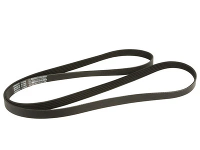 Cinturón multi costilla Dayco 61355TXXD 2008 2007 2012 2009 2005-2019 Foto 1 de 2