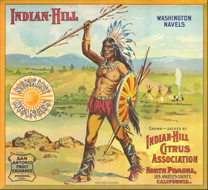*Original INDIAN-HILL Sunkist Sunburst Pomona XLNT Orange Crate Label NOT A COPY - Picture 1 of 1