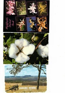 Australia Postcards,  TOOWOOMBA & BILOELA  Qld     ( 3 cards)   - Picture 1 of 2