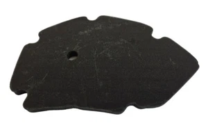 Luftfilter Piaggio X9 Gilera DNA RUNNER VX/R M01 C01 125-200ccm - Picture 1 of 1