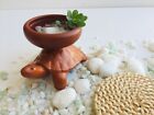 Handmade Fortune Lucky Turtle Tea Pet Brown Clay Ecofriendly Table Deco Toy 