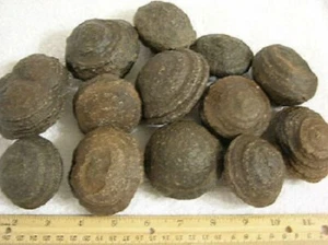 Moqui Marble hematite concretion Utah bigger 1-1.5 inch 2 per winner - Picture 1 of 1