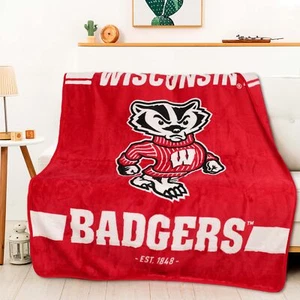 Northwest NCAA Wisconsin Badgers Legion Raschel Throw, 50" x 60" - Picture 1 of 6