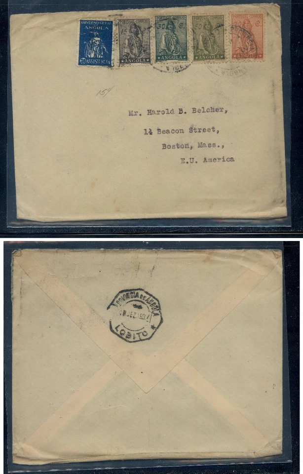 安哥拉大号保护套   — 第 1/1 张图片