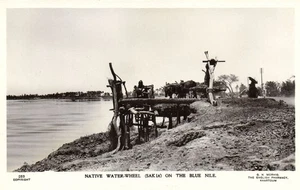 PC SUDAN EINHEIMISCHES WASSERRAD AUF DEM BLAUEN NIL ECHTFOTO POSTKARTE (b63058) - Bild 1 von 2