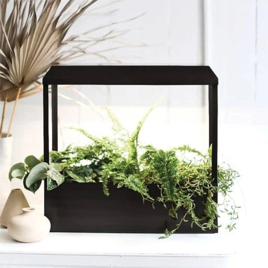 Modern Sprout Smart Growhouse - Grow Light for Indoor Plants, App-Enabled, Black - Image 1 of 4