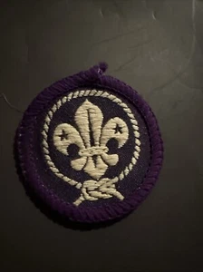 Purple World Scouting Insignia Crest Boy Scouts of  America BSA Rare White Back - Picture 1 of 3