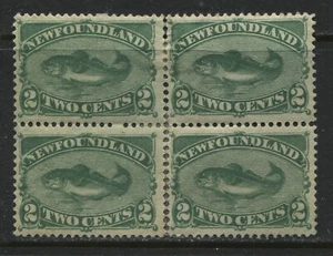 Newfoundland 1896 2 cents green mint o.g. hinged block of 4 - Picture 1 of 1