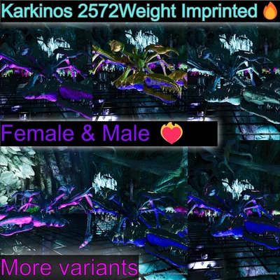 MY ARK ASCENDED Ark Survival Ascended Pve Karkinos / Karkino / Abberation / 2572Weight Imprinted