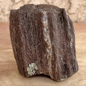 5.5oz UTAH Raw Rough PETRIFIED FOSSIL WOOD Log 2.75” WHITE PINK CRYSTALS, PURPLE - Picture 1 of 12