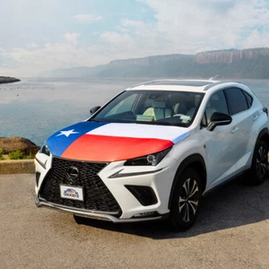 Texas State Car Flag Hood Cover Universal Size Polyester Bonnet Flag of Texas TX - Picture 1 of 11