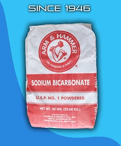 Baking Soda 50 lb Sodium Bicarbonate Bath Bomb Fizzies Arm & Hammer - Picture 1 of 1