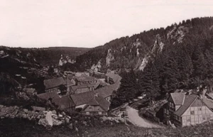 Deutschland Rübeland Gesamtansicht des Dorfes Alt Dr. Mertens Foto 1890 - Bild 1 von 4
