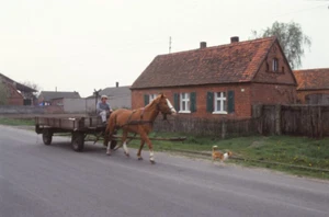 DIA carro de caballos carruaje caballo herencia R. Wittbecker sin enmarcar S-B7-1 - Imagen 1 de 1