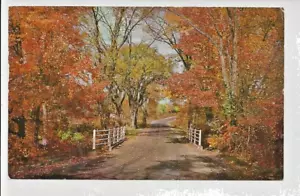 Herbst Herbst Farben Laub Schotter Straße Brücke Abutment Ländliches Wohnen Pastoral - Bild 1 von 2