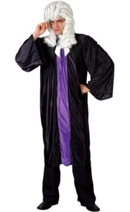 Adult HIGH COURT JUDGE Barrister Gown Legal Fancy Dress Costume Male Mens Outfit - Picture 1 of 4