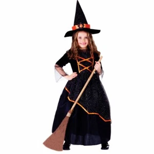 Black and Orange Witch Costume - Picture 1 of 1