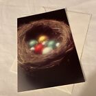 Holiday Card - From our nest to your nest!  California Dreamers - 1986