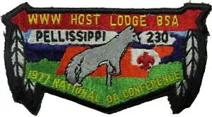 Pellissippi 230 Great Smoky Mountains TN S11 1977 NOAC Flap BLK Bdr (SK778) - Foto 1 di 2