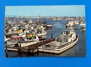Sportfischerboote städtisches Yachtbecken SAN DIEGO Hafen Kalifornien - Bild 1 von 2