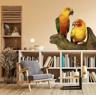 3D Papagei H244 Tier Wallpaper Wandbild Poster Wandaufkleber Abziehbild Hone