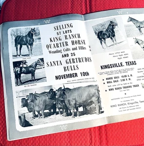 1951 QUARTER HORSE JOURNAL Magazine, BIG "KING RANCH" AD, RARE "JOE HANCOCK" PIC - Foto 1 di 24