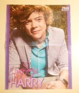 Tiger Beat Magazine Center Poster Harry Styles Taylor Lautner Free Shipping - Picture 1 of 5