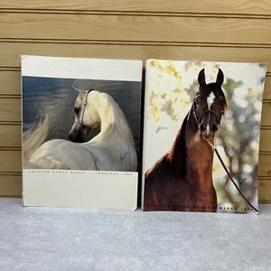 Arabian Horse World Magazine February and March 1994 Volume 34 No. 5 and 6 - Picture 1 of 8