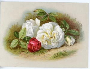 Carta commerciale vittoriana rose bianche rosse senza marchio - Foto 1 di 2
