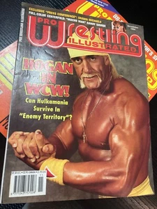 Revista ilustrada PWI Pro Wrestling WWF WCW - noviembre 1994 - Hulk Hogan WCW - Imagen 1 de 3