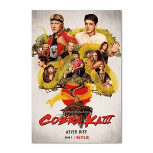 Cobra Kai TV Series Poster - Season 3 Official Art - High Quality Prints