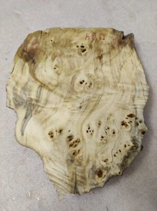 Baumscheibe 34 x 28 x 5.5 cm Pappel Maser Epoxidharz  D 64 - Bild 1 von 11