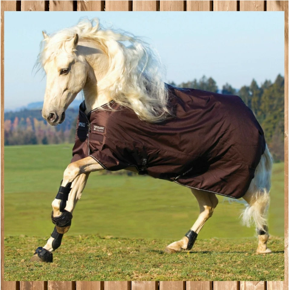Amigo Bravo Heavy,  Horseware Amigo Bravo Turnout 400g, 1200D Winterdecke 1 - Bild 1 von 1