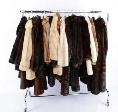 Lote de 21 abrigos de piel real visón vintage abrigo de piel chaqueta de visón chaqueta de visón Foto 1 de 4