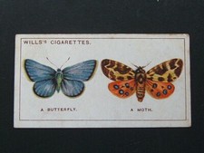 Wills -  Do You Know A Series (1922) - # 10  Butterfly and  Moth