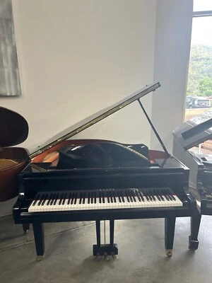 Yamaha GB1 Ebony polish - Image 1 of 4