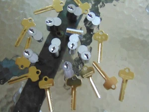 10 - BEST LOOK A LIKE   G   CORES  6 PIN WITH 1 CORE KEY AND 10 KEYS  LOCKSMITH - Picture 1 of 4