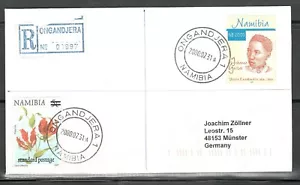 Namibia Cover Ongandjera 1 31.07.2000 Johanna Gertze Flame lily Reg. to Germany - Picture 1 of 3