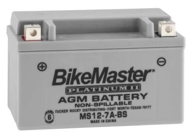 Batería BikeMaster AGM 12V Platinum para Yamaha YJ125 Vino 2004-2009 gris Foto 1 de 3