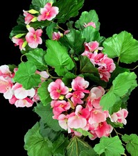 MAZZO ARTIFICIALE GERANIO PER COMPOSIZIONE COLORE A SCELTA 60CM FIORI PIANTE