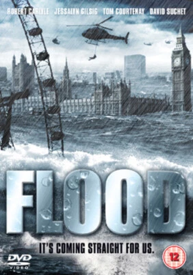 Flood DVD (2007) Robert Carlyle, Mitchell (DIR) cert 12 FREE Shipping, Save £s - Image 1 of 2
