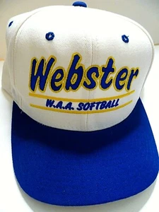 Gorra de Softbol Webster NY WAA Snapback Ajustable YUPOONG Bordada Gorra de Béisbol - Imagen 1 de 5