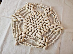 Cowrie Shell Star Trivet 9 in - Picture 1 of 2