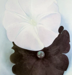 Georgia O' Keeffe SCHWARZE PETUNIE - WEISSE MORNING GLORY I Kunstdruck Buchteller 37 - Bild 1 von 5